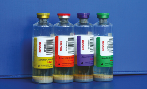 BC32 Otomatik Kan Kültürü Sistemi